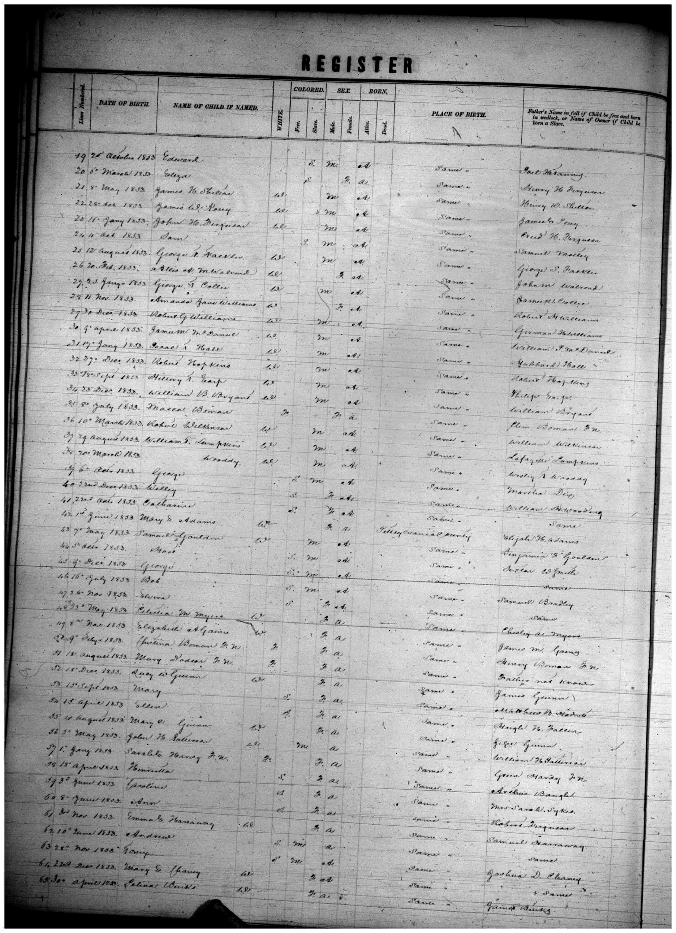 Document