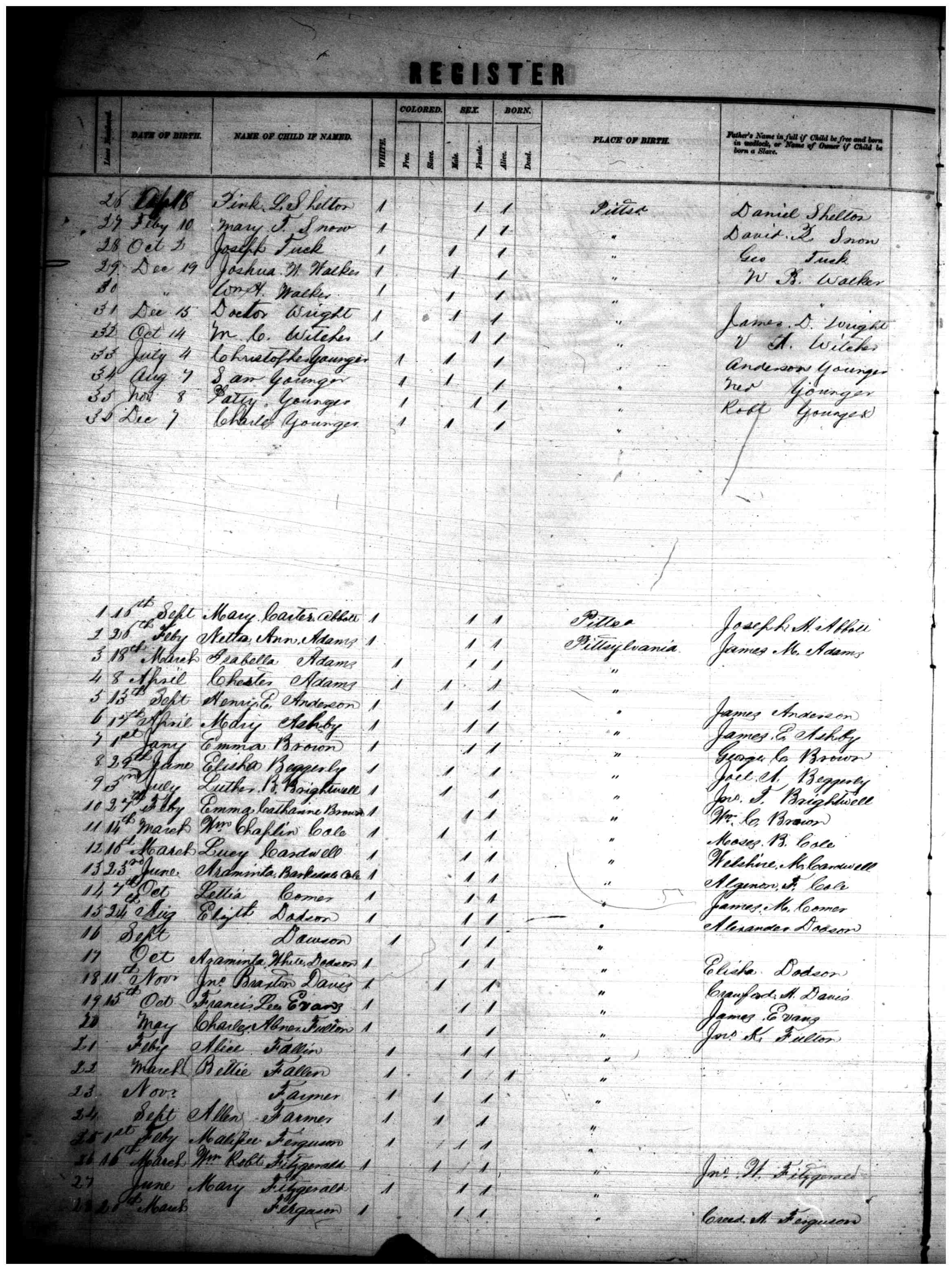 Document