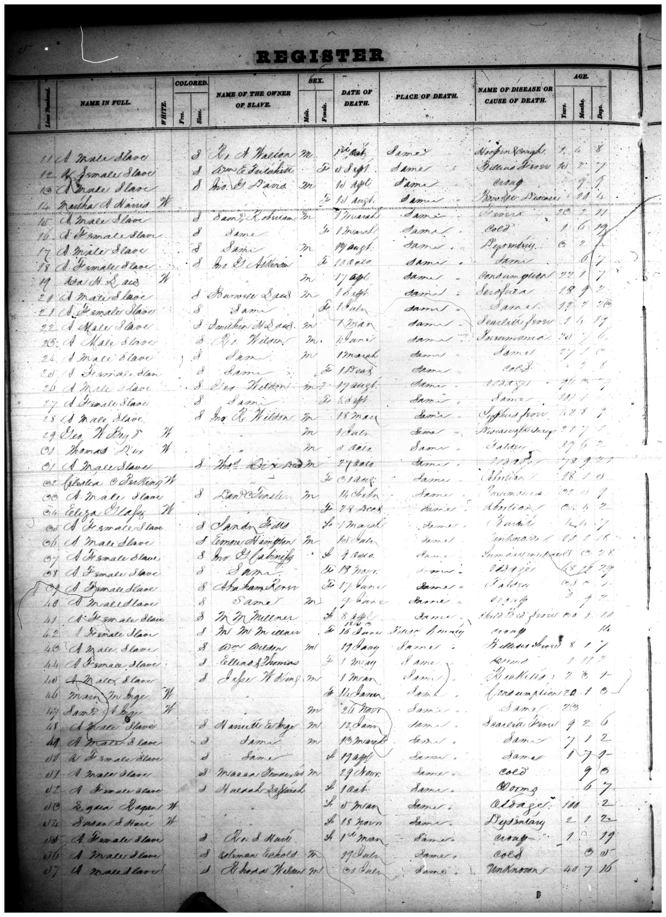 Document